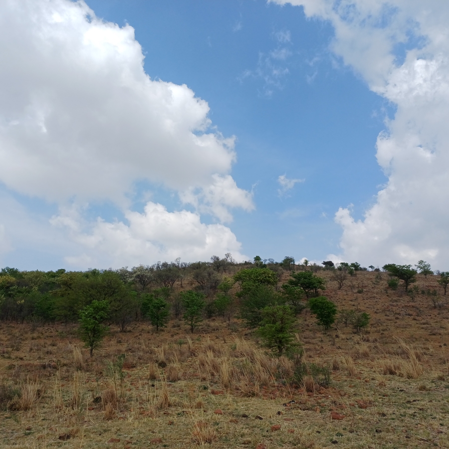 0 Bedroom Property for Sale in Lindequesdrif North West